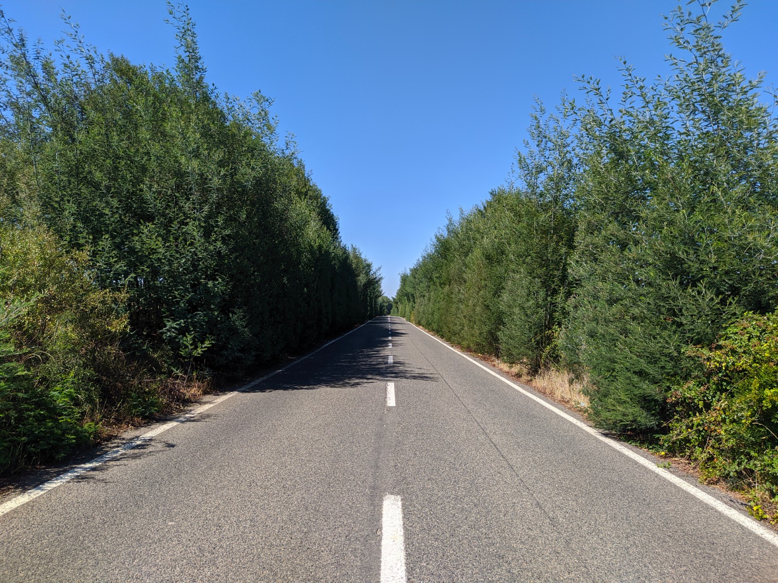 Camino hacia Bío Bío